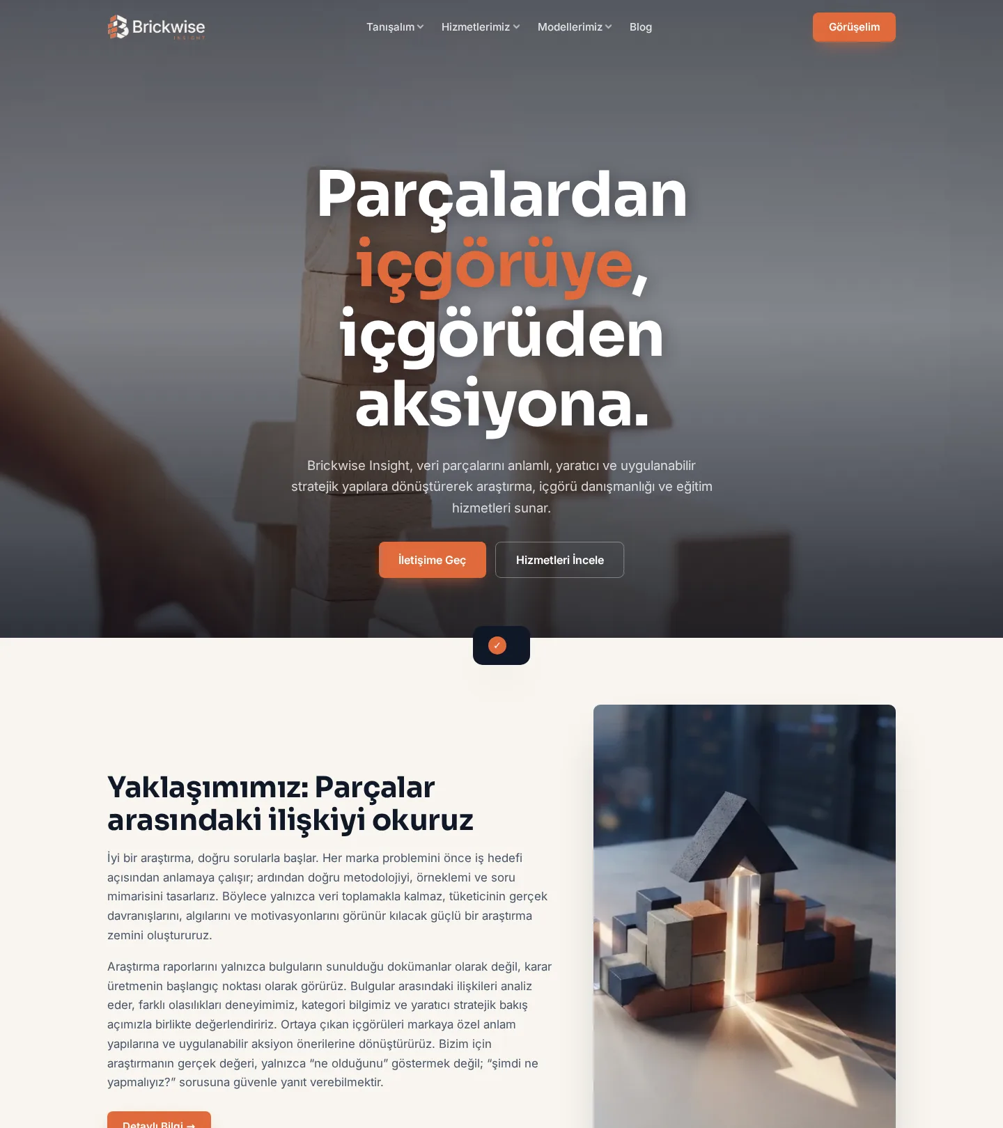 Brickwise Insight web sitesi — masaüstü görünümü